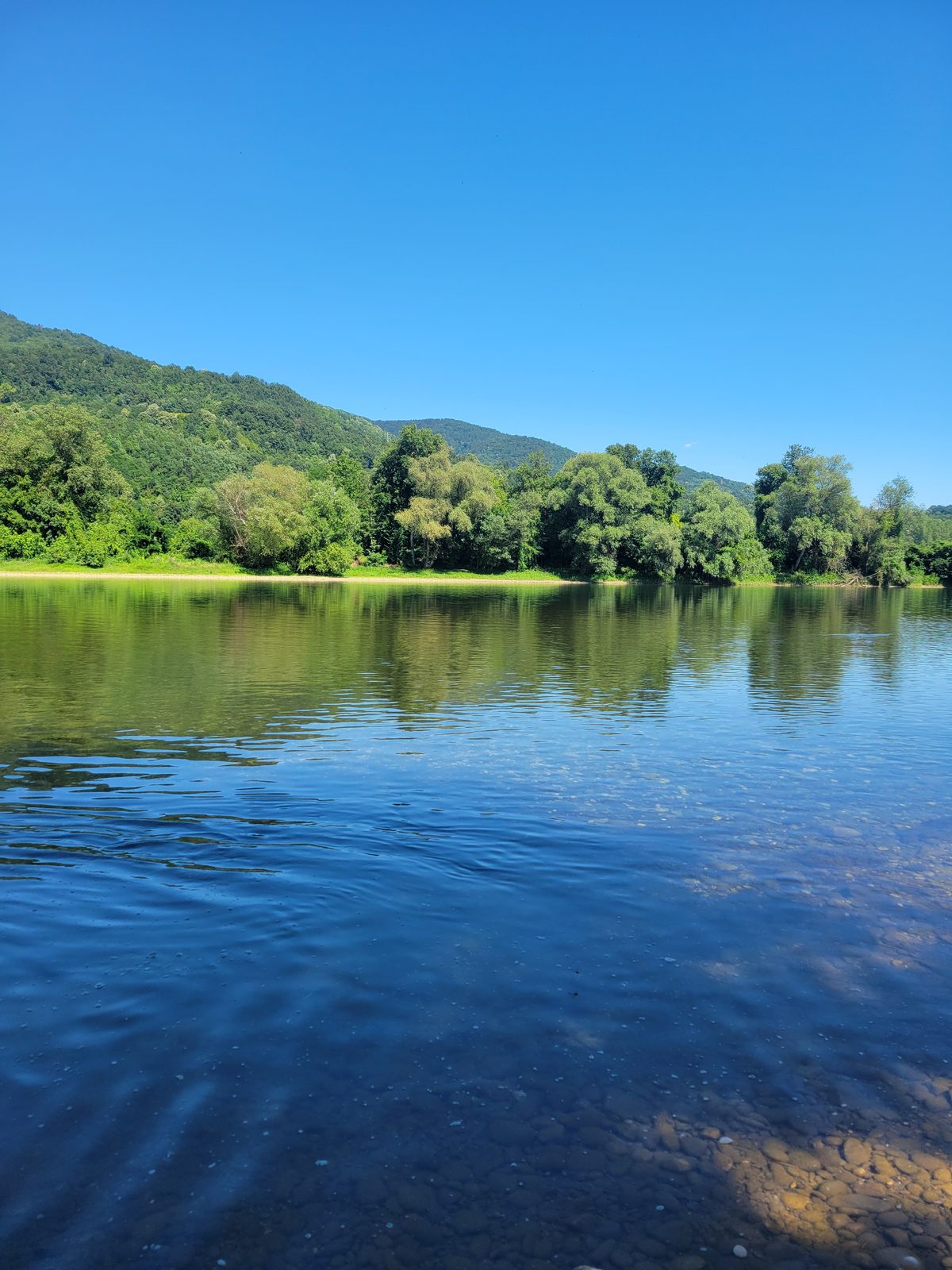 Mirna Drina